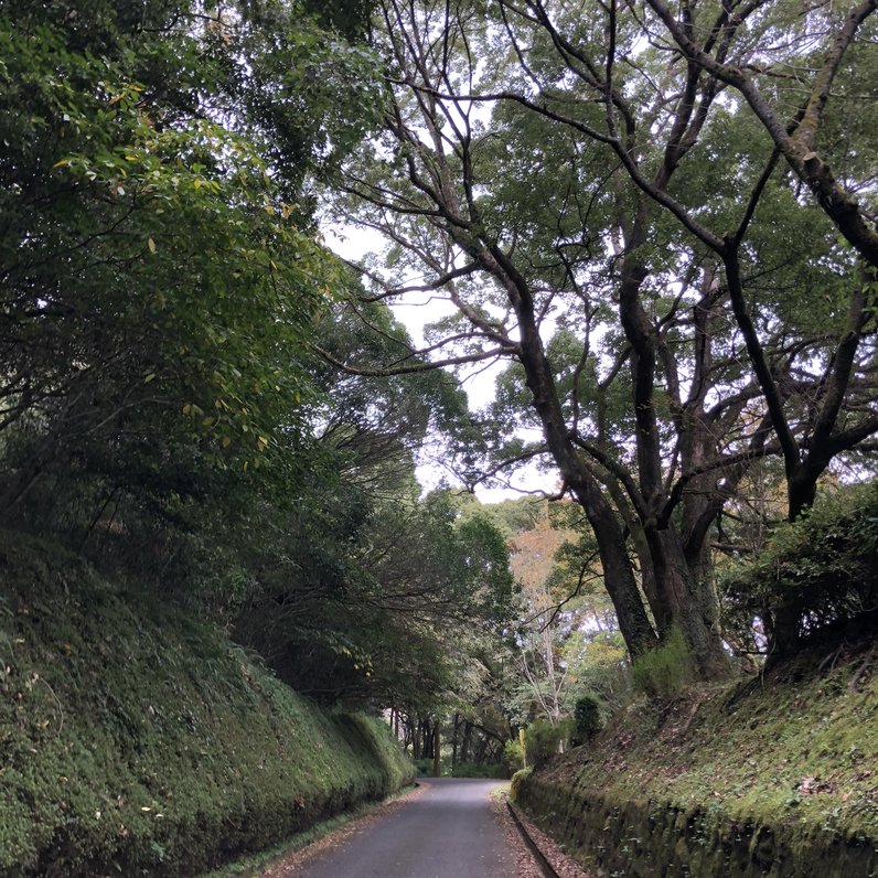 朝日山公園