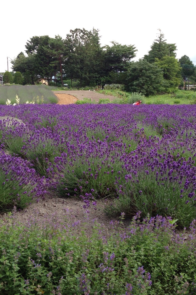 八木崎公園