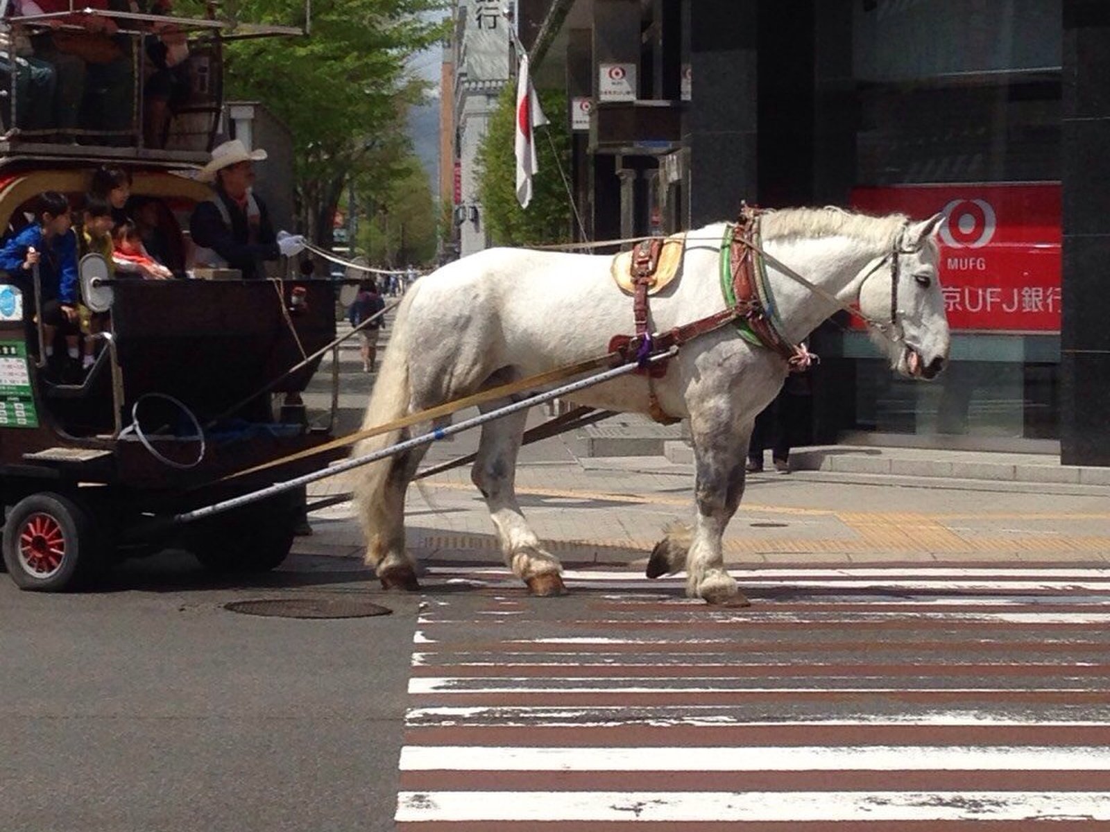 トニーローマ 札幌時計台前店