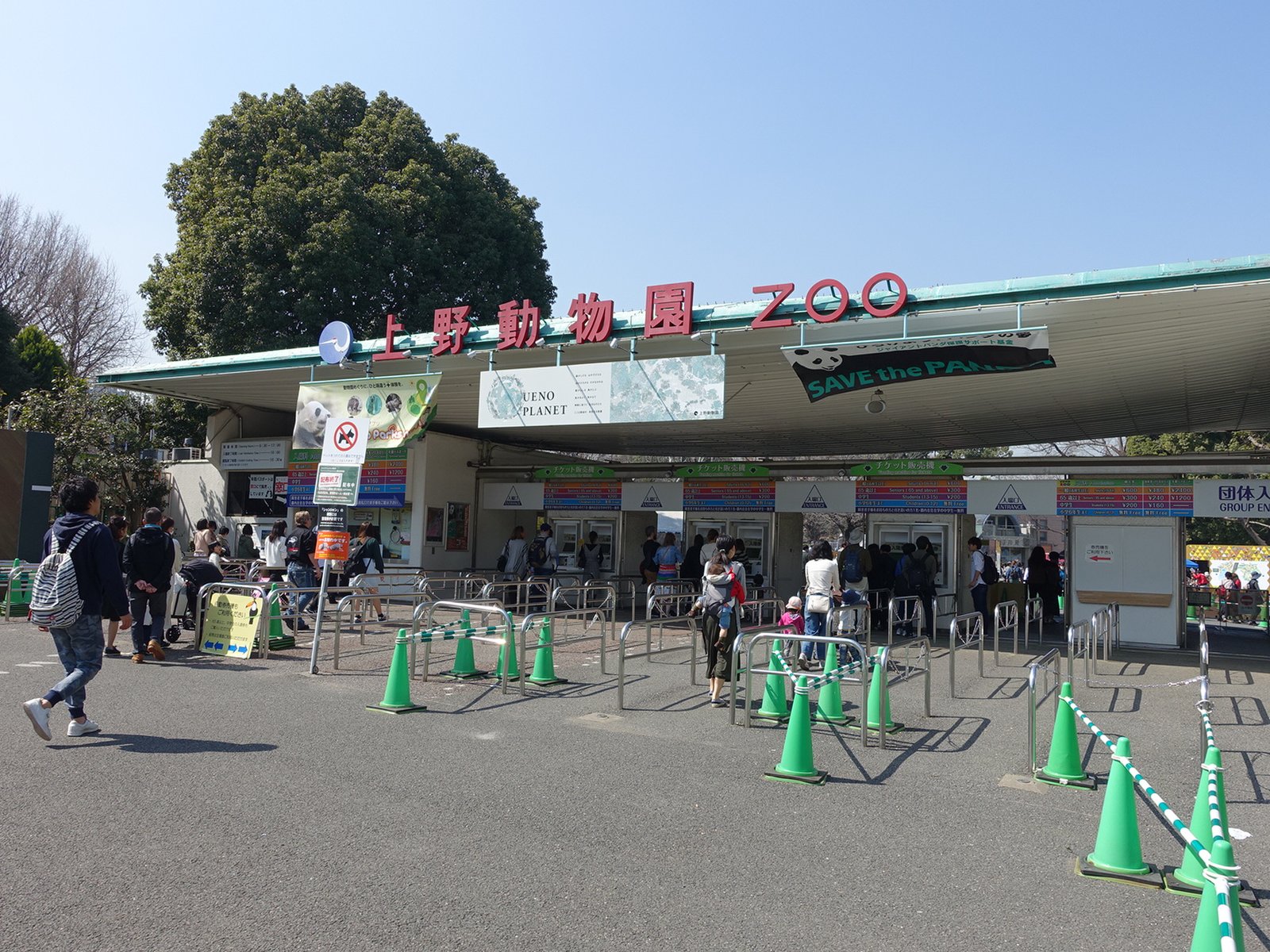 昼からの上野動物園 パンダも見れるしランチもできる上野動物園でゆっくりデートはいかが Playlife プレイライフ