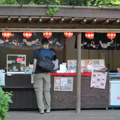 上野東照宮ぼたん苑