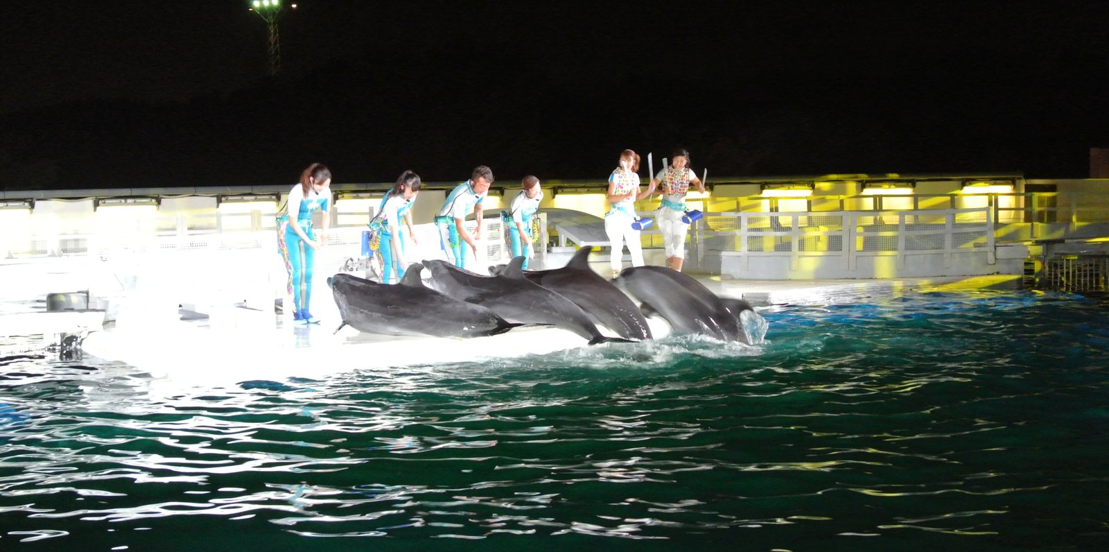 京都水族館