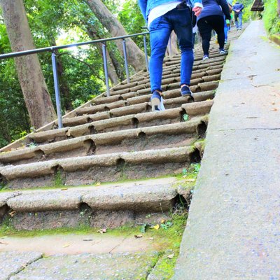 嵐山モンキーパークいわたやま