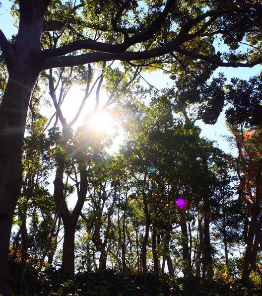 安城産業文化公園デンパーク