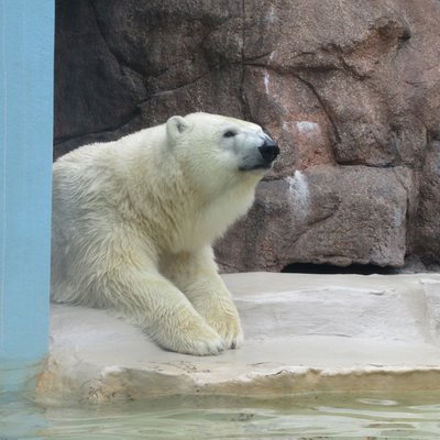 静岡市立日本平動物園レストハウス