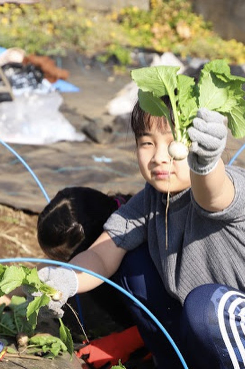 サポート付き市民農園「シェア畑」（下高井戸）