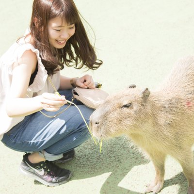 伊豆シャボテン動物公園