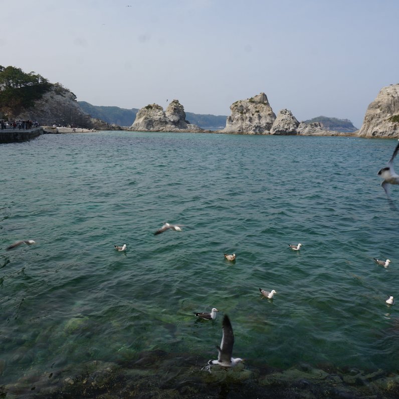 浄土ヶ浜レストハウス