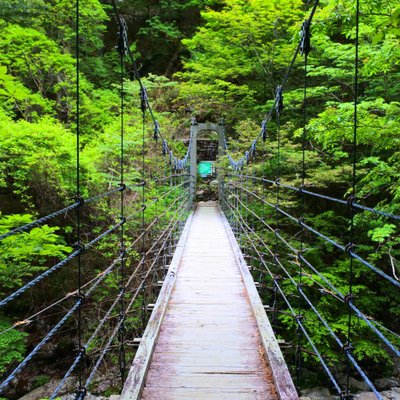 大台ケ原(日出ヶ岳)