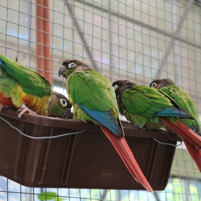 掛川花鳥園