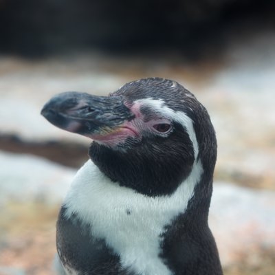 鳥羽水族館