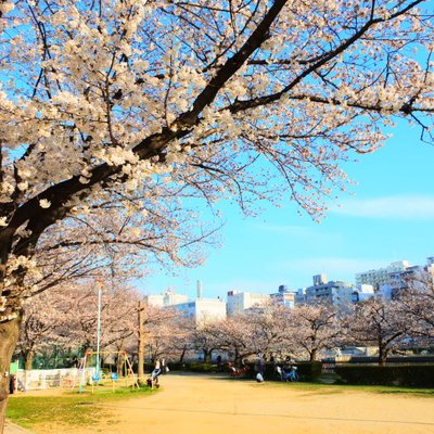 南天満公園