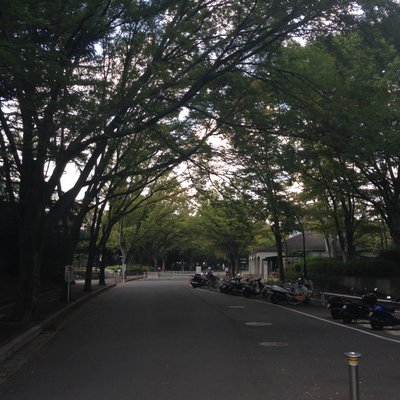 都立駒沢オリンピック公園