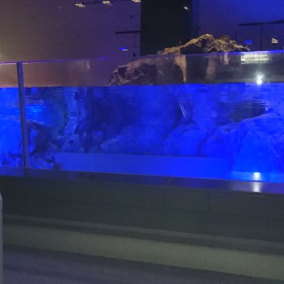 すみだ水族館