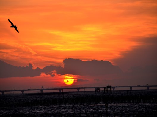 袖ケ浦海浜公園