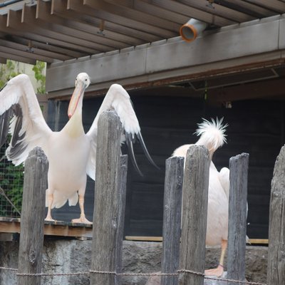 サンシャイン水族館