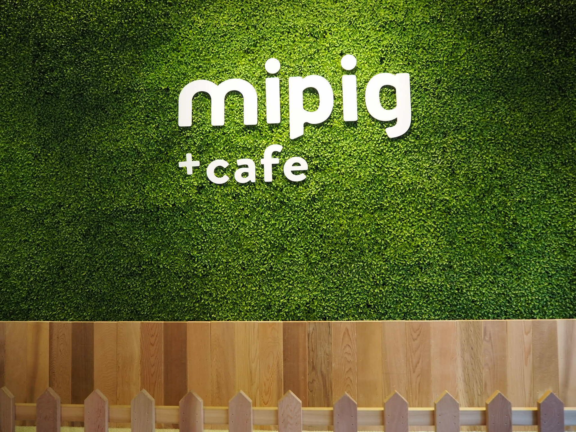 mipig cafe（マイピッグカフェ）