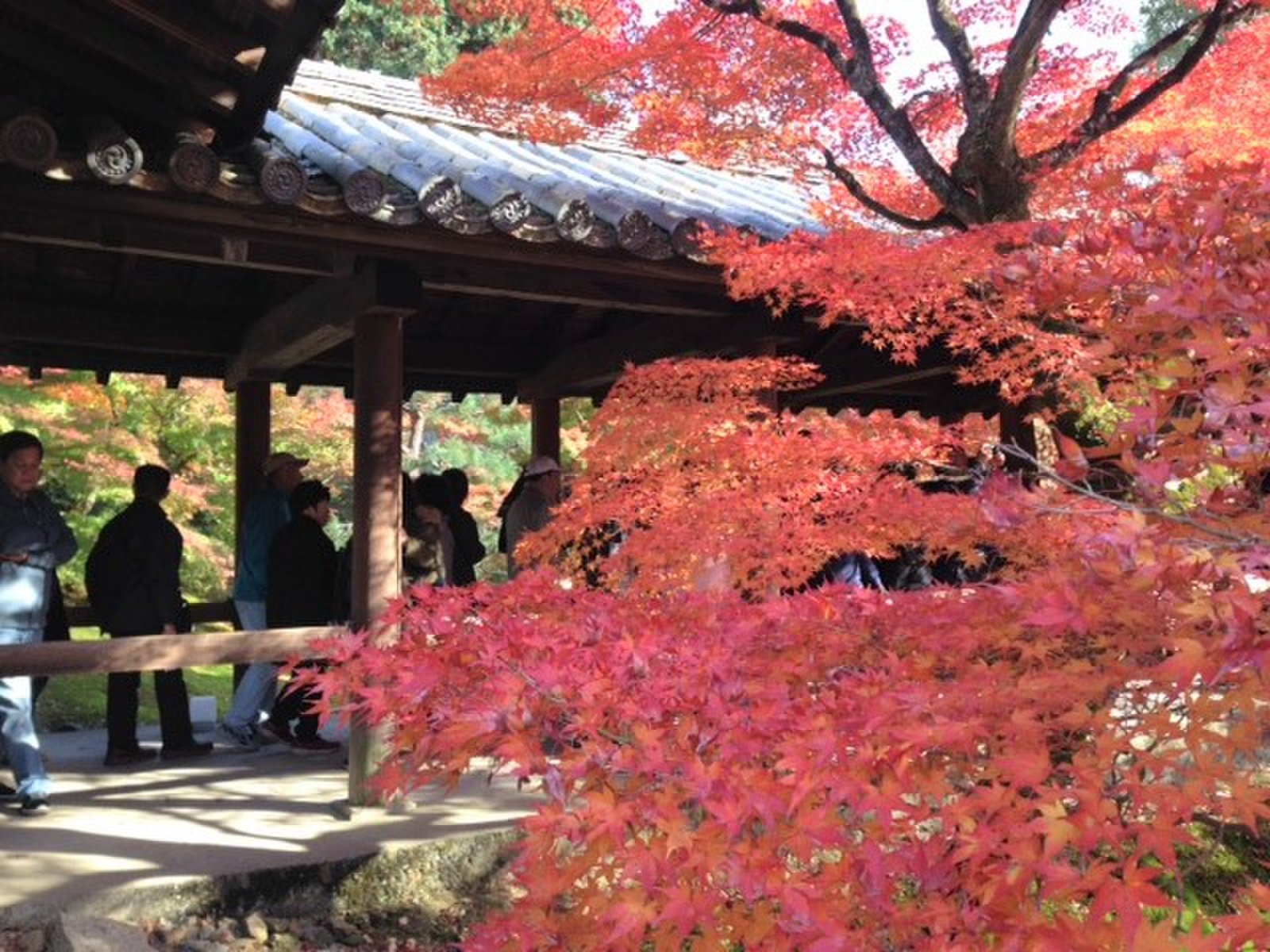 東福寺