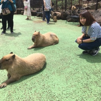 伊豆シャボテン動物公園