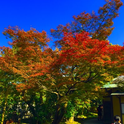 高台寺