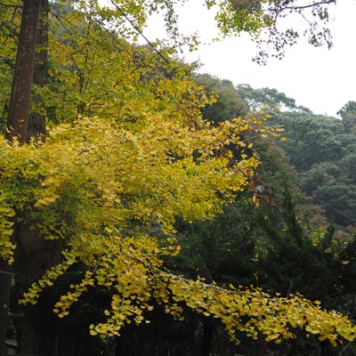 小松寺