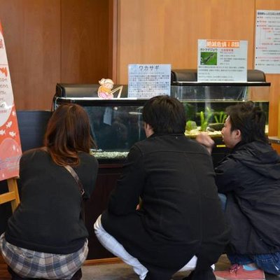 森の水族館