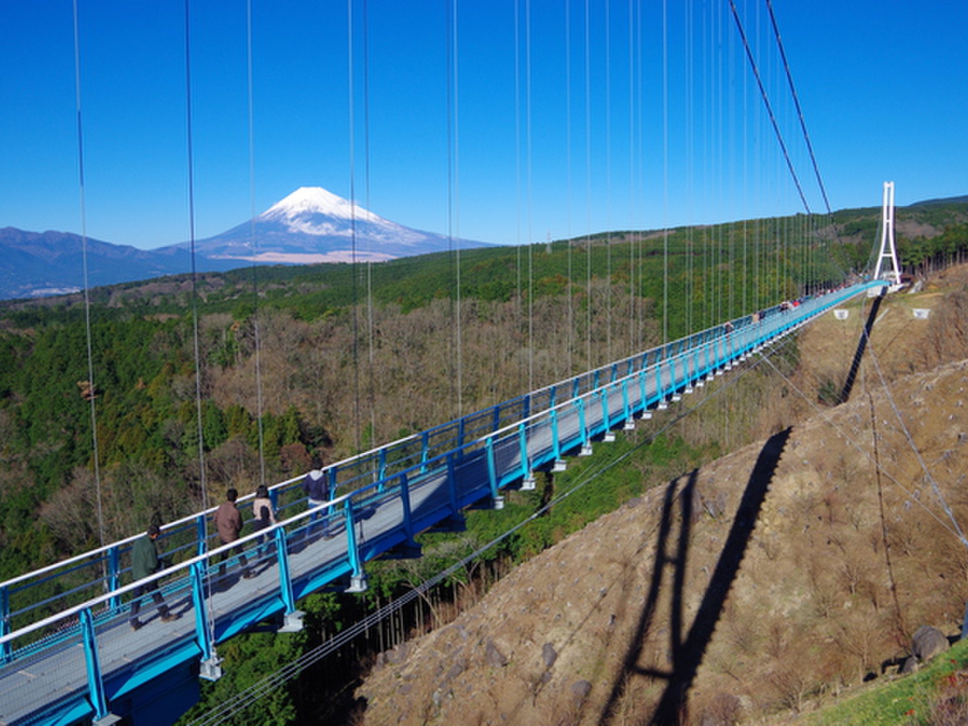三島でウナギを食べて、三島スカイウォーク（MISIMA　SKYWALK）で富士山の絶景をのぞむ！
