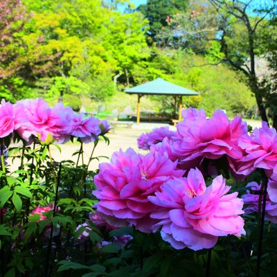 須磨離宮公園