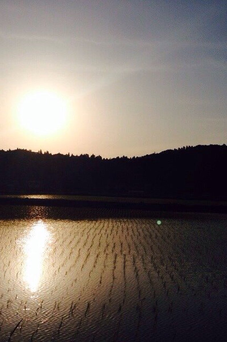 夷隅川流域