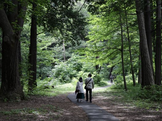 円山公園