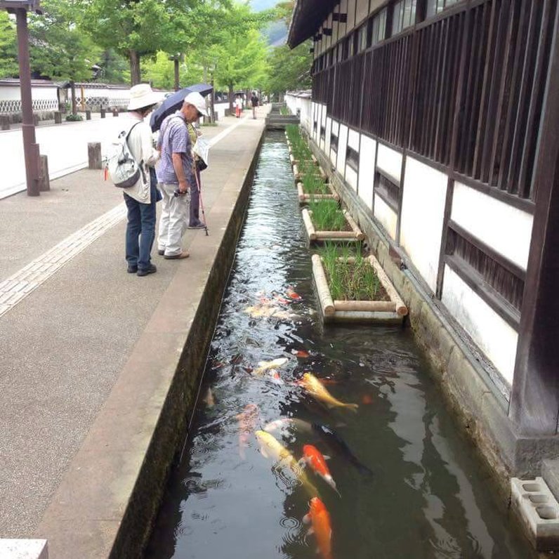 藩校養老館跡