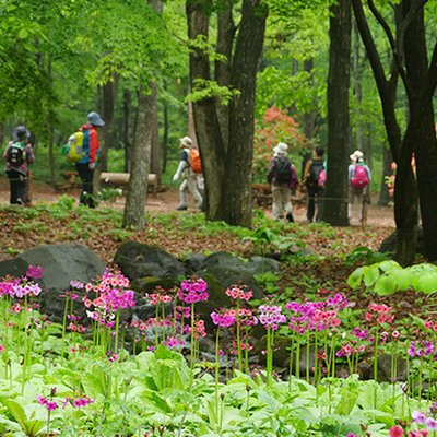 赤城自然園