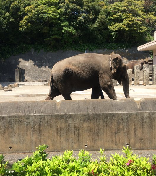 金沢動物園