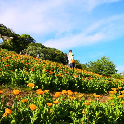 神戸布引ハーブ園