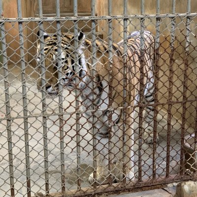 東京都多摩動物公園