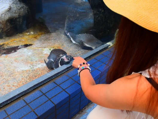 鳥羽水族館