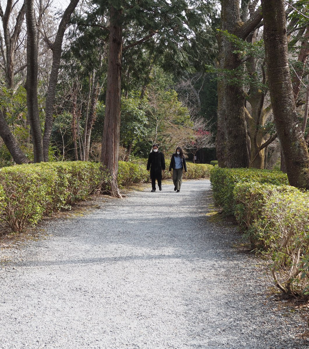 修善寺自然公園