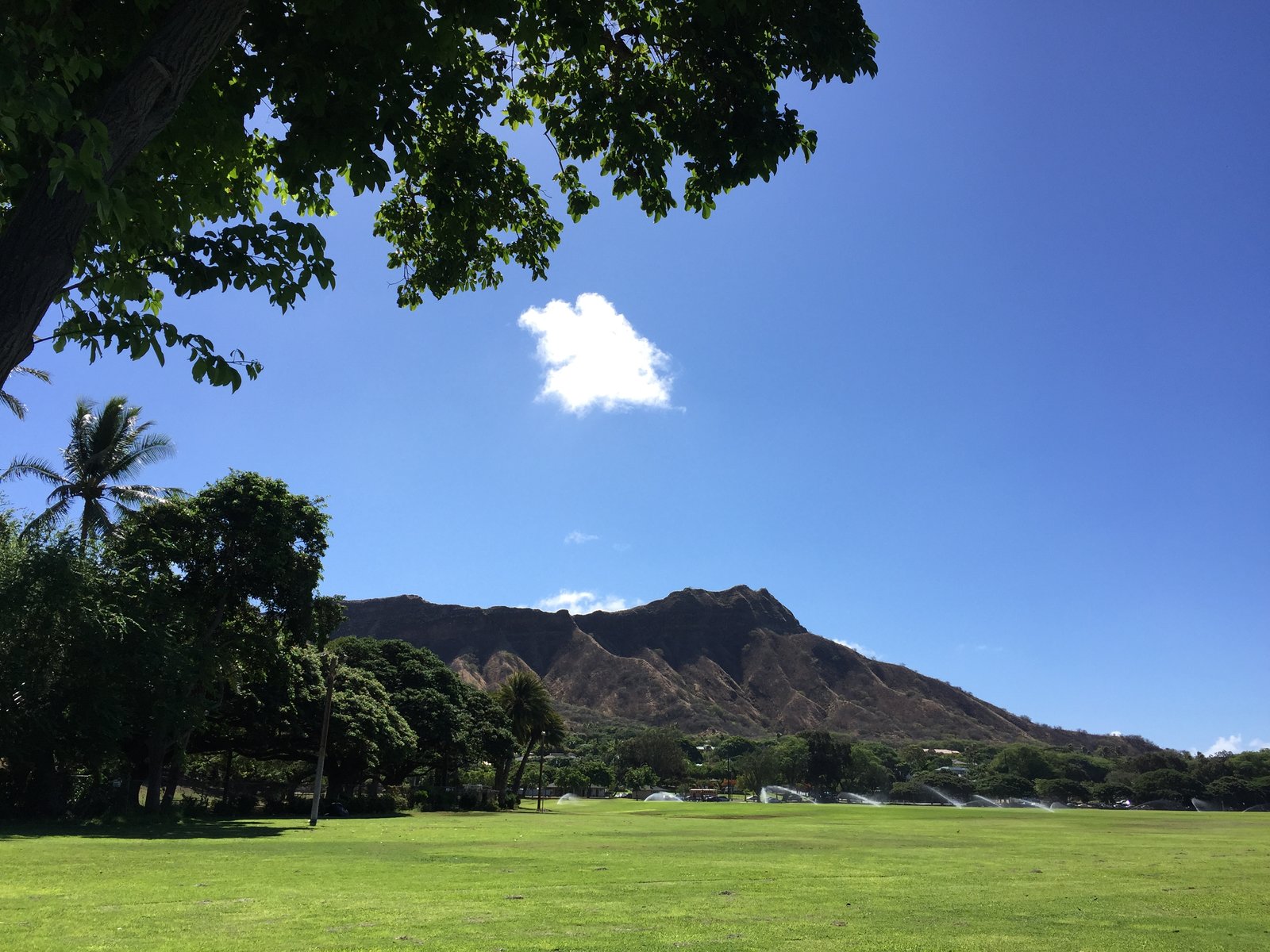 ハワイ旅 オアフ島おすすめ観光スポット ヌアヌパリ展望台へドライブ Playlife プレイライフ