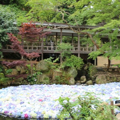 雨引山楽法寺(雨引観音)