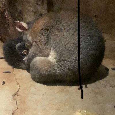 東京都多摩動物公園