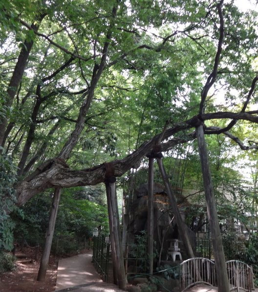 板橋区立 赤塚溜池公園