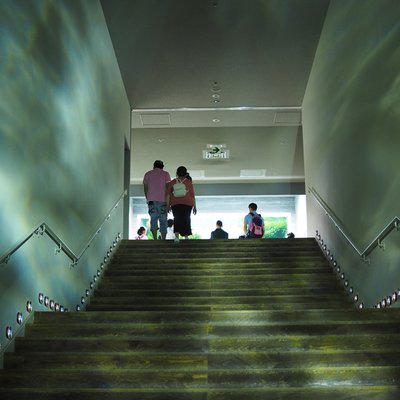 すみだ水族館