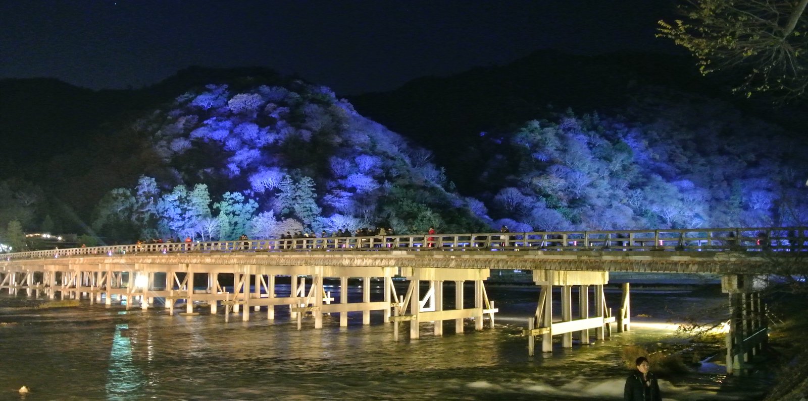嵐山 京都冬デートの定番 幽玄な景色を見ながらロマンチックな一時を過ごしませんか Playlife プレイライフ