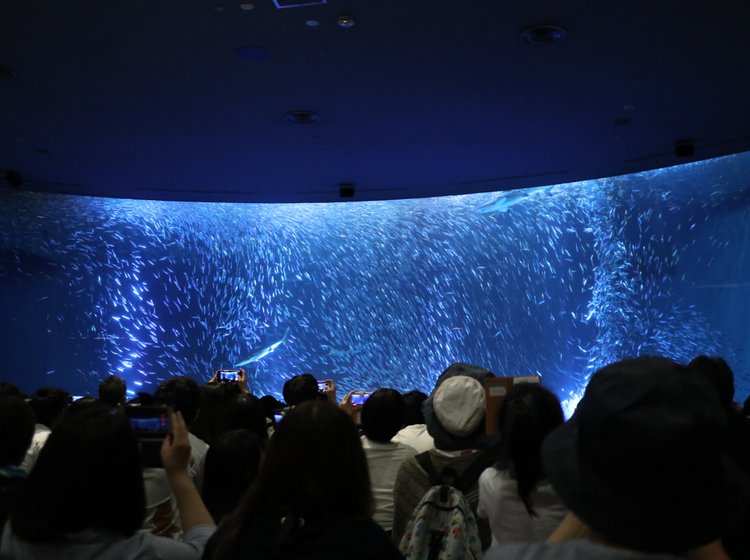 在名古屋港花園碼頭玩一整天 名古屋港水族館 南極船富士 名古屋港大廈 Playlife