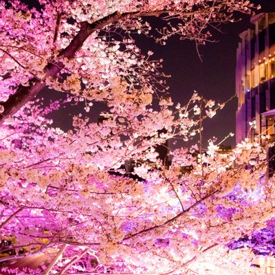 東京ミッドタウン