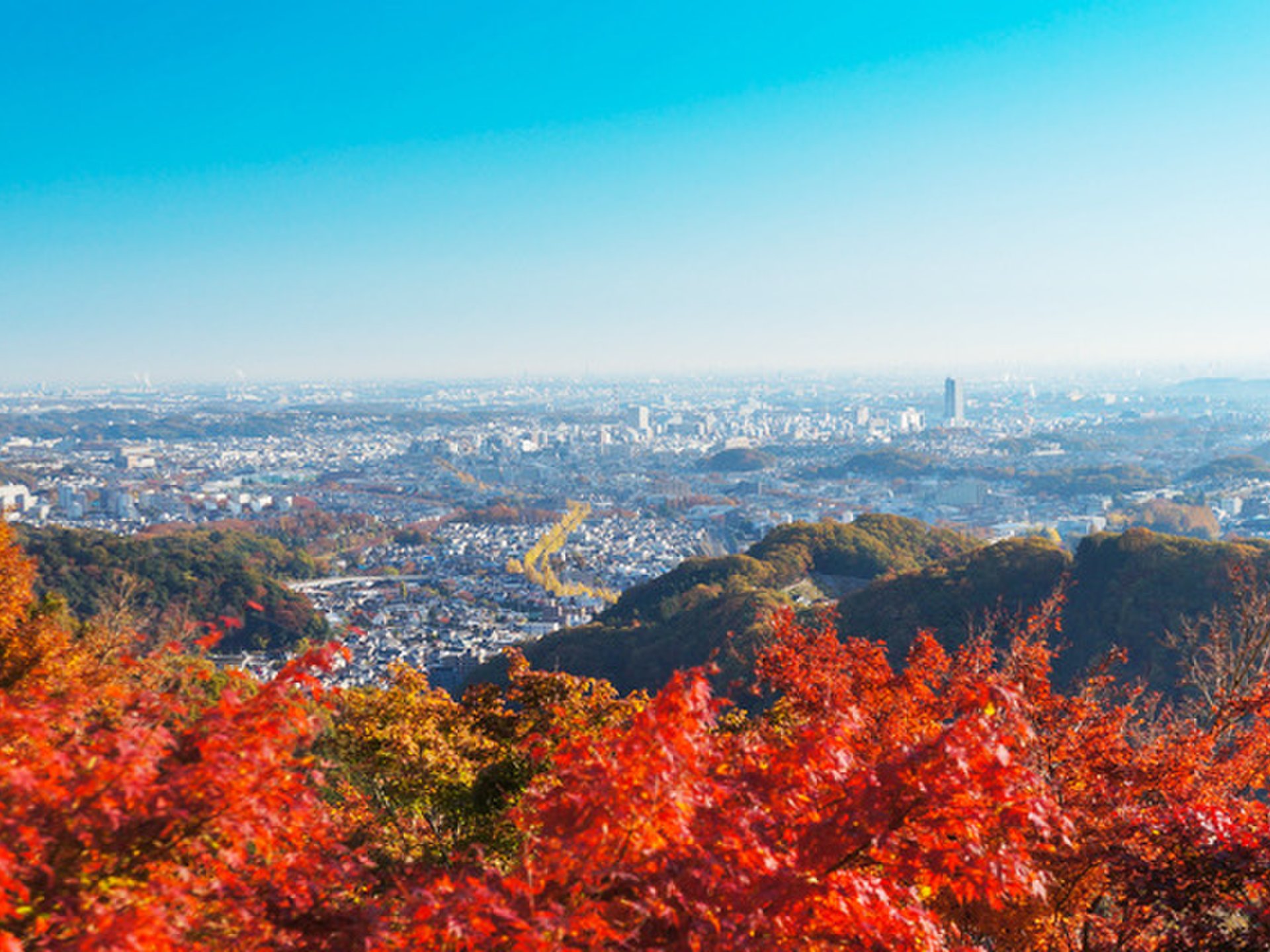 高尾山はケーブルカーを使えばラクラク♪絶景と絶品そばを楽しむ初心者ハイキングをご紹介！