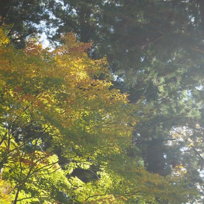 河口浅間神社