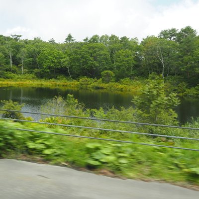 琵琶池