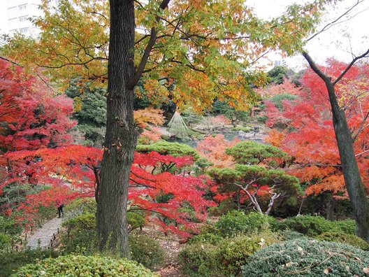 旧古河庭園