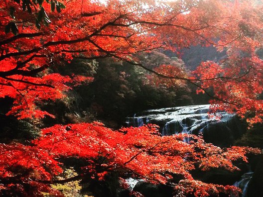 袋田の滝 滝見台